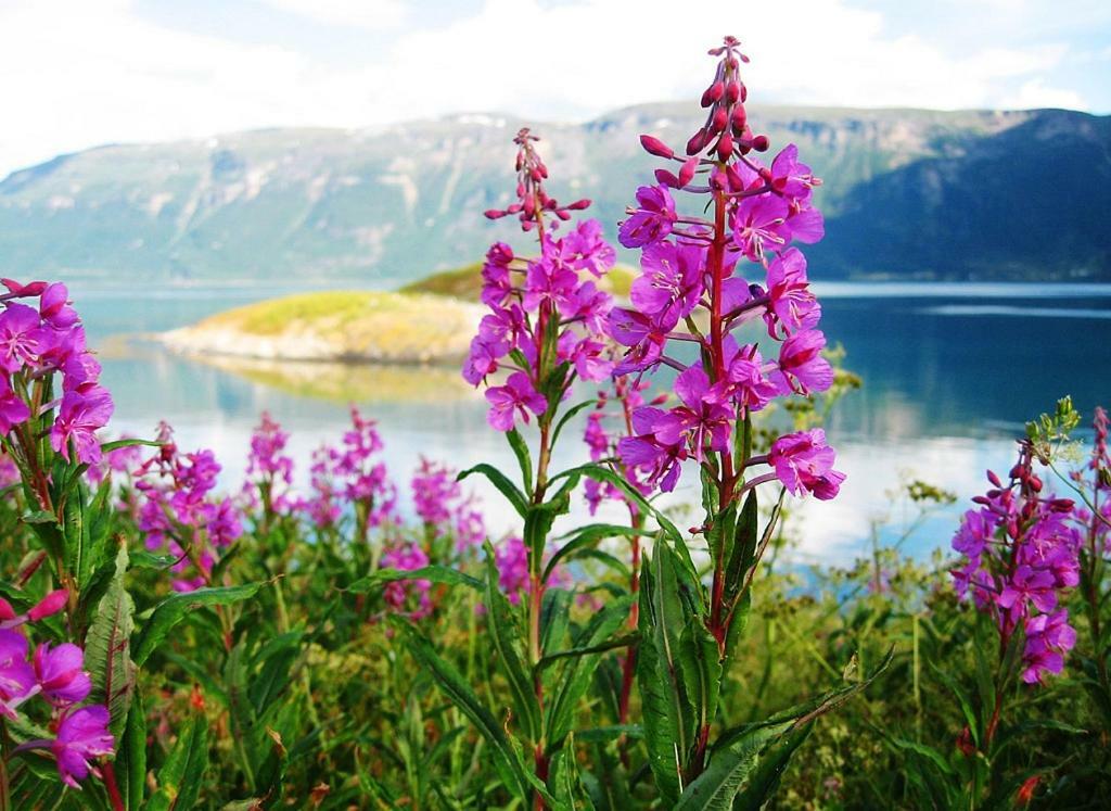Kirkenes Hotell Luaran gambar